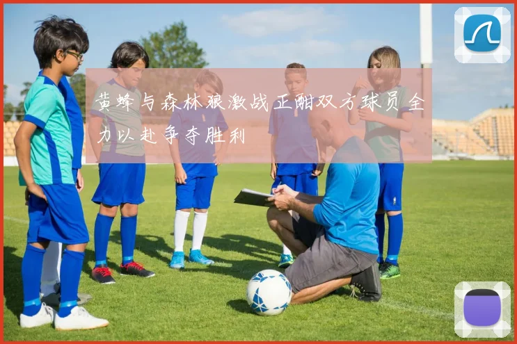 黄蜂与森林狼激战正酣双方球员全力以赴争夺胜利